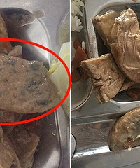 ʳ���ϰ�̫���� ÿ��ԵĿ�����ʳ��