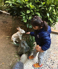 ���Ӽ�����4���� �ҽ������������7������ ̩����۰��š�