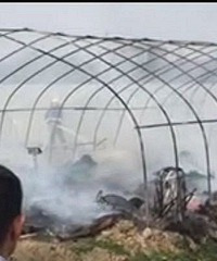 ��Ұ�׷��ճ�һ������ �������������ˣ�