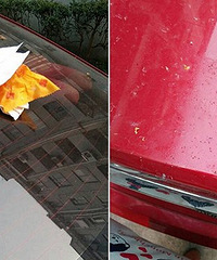 ����Ŷ������ͣ��С�� ÿ�챻������