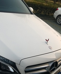 ���۳�ͷ������������ ���ѣ��㲻��ΪɶҪ����