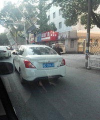 �鲨·�����··�� ���׳��β�