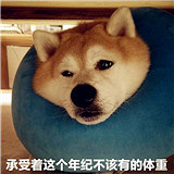 �ò����׹��������� ƨ�ɻ�û�����쵼����ȥ���� ��Ϊ����