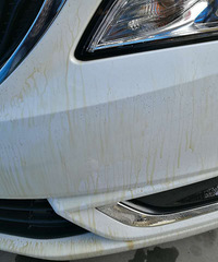 ���Ͼ���ĳ����ʩ���� û�з��û������ ��ɫ������ȥ�޲��ˣ�