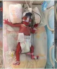 �����ˣ���λ�������¶���6�������˫��̥Ů������������һ��