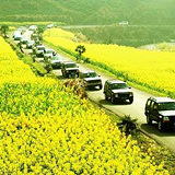 ����~19¥�����Լ��μ�����������������ȥ��Ŀ�ĵ� ȥ��������