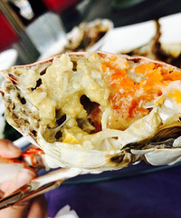 һֻ8��������зҪ174Ԫ �󵫺ó԰���