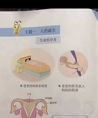 ��Сѧ���Խ������������������ҳ��²ۣ��߶�̫������ը�˹���