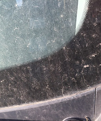 ��ΪŮ���ӼҼ� ˭�ĳ������ҵ��ࣿ������