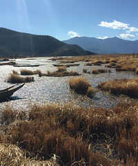 ����ɫ�����꣬�����ڵ���