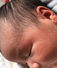 �������ϵ������ʪ�������