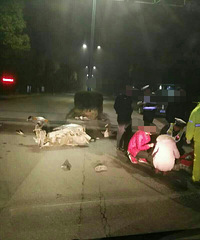 ͻ�����γ����ƿ������ ��ƿ����ͷɢ����