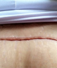 �ʸ����߸��¶��� ���̳ʺ�ɫ ����������