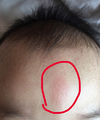 �������һ�����