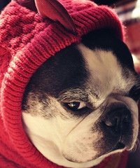 ���������¿˵���˴�ȴ˵��¿��ţ˵��