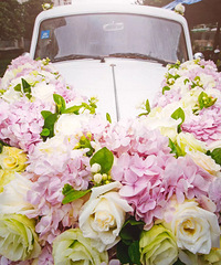 �ҵġ��������鳵