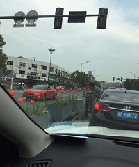 ��Ȼ�ڴ���·��ժ�����������˶�����������ȥ��...