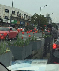 ��F���Ӷ�����������ȥ�� ��·�ϵ��ɻ����