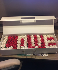 �ж�����