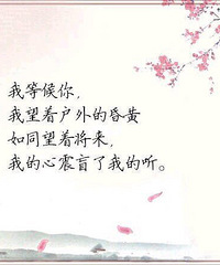 �ҽ���ãã�˺���Ѱ����Ψһ֮�����¡���