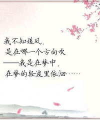 �ҽ���ãã�˺���Ѱ����Ψһ֮�����¡���