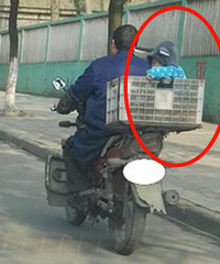 ���·Σ��һĻ ���Ӿ�Ȼ�������Ͽ���