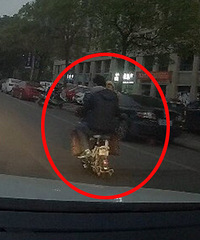 ���ź��ӿ�ë¿ �������