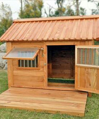 ����Խ��Խ�� ���е�����ס�� ���ǲ��� �ó