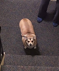 ���ϴ��õ����ֵ����ǿ������̻� ���������Ӻ��ϰ�� �;�����