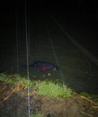 ���Σ�����һ��̫������ˮ��Ϣ����ź��������...