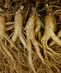 �ʴ�Ҹ����� �������ܳ��˲���