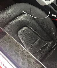 ���Σ��ҵİµϳ����Զ����� ��������һҹˮ