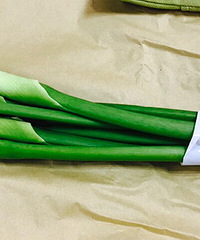 ������Ȧ�ġ�һ���������� �յ����ޣ�