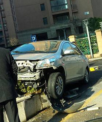 �ձ��ĳ������ݶ� �㱱�ĳ����ϻ�̳