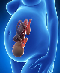 ����2���º��ۣ� �Զ������ܶ�����Ҫ����Ż�� ���Ų��붯