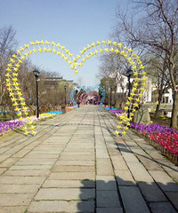 ����ȥ����һ�·糵չ �糵��ĺö࣡