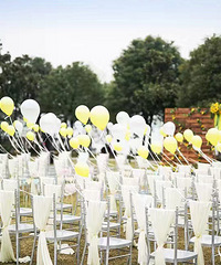 �ҵĲ�ƺ����