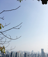 ��������һ�����ˣ��Ͻ����ǹ���һ�����ֽ��