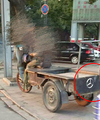 ������ĳ� ����������