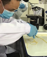 ���£����Ӷ�����ȡ��5�׶೤�ĳ��� ������Ϊ...