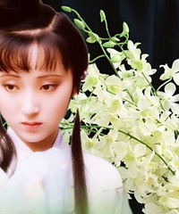 ����Ȧ��Ů������װ������  ���������ľ��������˷��ĺ��