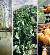 ֱ���У�19¥���ѻᴺ���Լ���