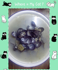 ��˽ �� �� ʳ�� ÷ �� �� �� ������  ��