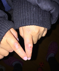 �����ʪ����