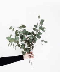 90��MM ������ �Ӵ�������ͻ������˽�������������