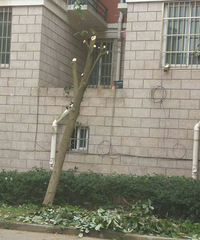 ����ĳС����ҵ��������� �ֳ��Ҳ��̶�