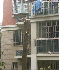 ����ĳС����ҵ��������� �ֳ��Ҳ��̶�