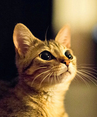 �ҵ�ͨ������1��� ����·ʱ�촰�ǿ���֨��֨��