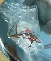 �����ˣ�����һ������������Ū ����ﾹ�����˸���֦...