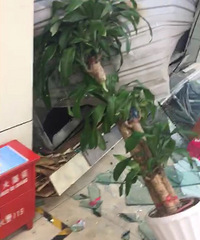 ������һĻ ��ɫ�γ����Ӫҵ�� �ֳ�һƬ�ǽ�